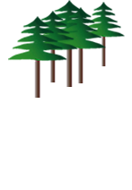 Forest Freeride logo