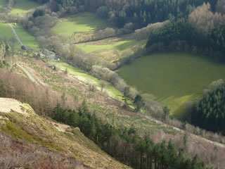 aerial view of forest freeride